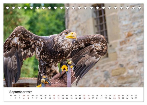Produktbild: Greifv&ouml;gel in Aktion - Dynamische Flugbilder und Portr&auml;ts (Tischkalender 2027 DIN A5 quer), CALVENDO Monatskalender