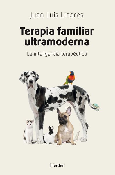 Produktbild: Terapia familiar ultramoderna