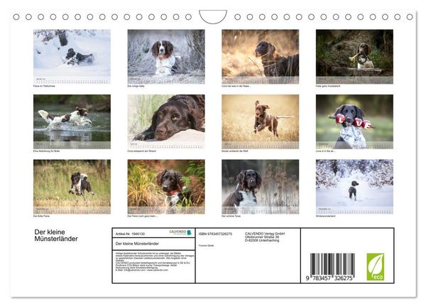 Produktbild: Der kleine M&uuml;nsterl&auml;nder (Wandkalender 2026 DIN A4 quer), CALVENDO Monatskalender