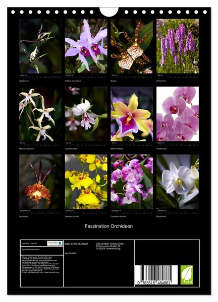 Produktbild: Faszination Orchideen (Wandkalender 2026 DIN A4 hoch), CALVENDO Monatskalender