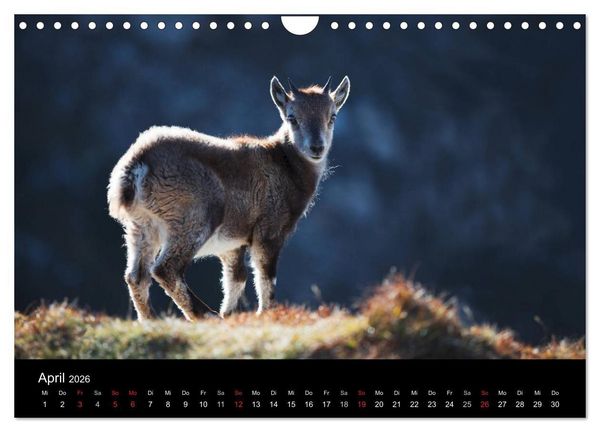 Produktbild: BERNER ALPEN - Natur und Landschaften (Wandkalender 2026 DIN A4 quer), CALVENDO Monatskalender