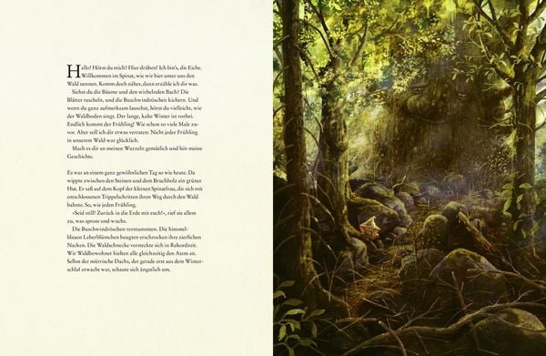 Produktbild: Als der Wald erwachte