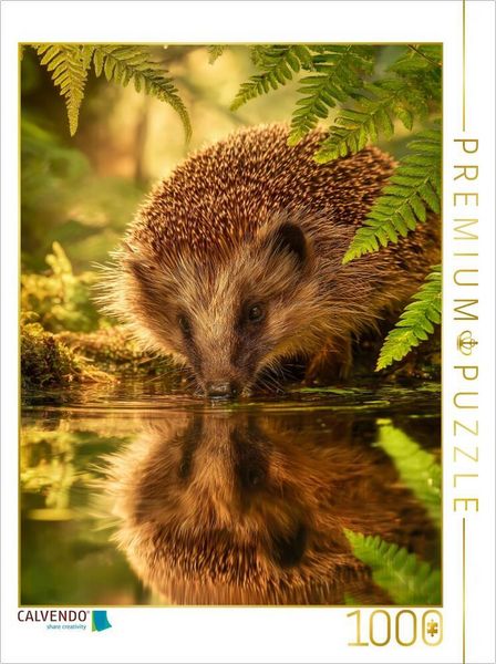 Produktbild: CALVENDO Puzzle Der Igel stillt seinen Durst am Spiegel der Natur | 1000 Teile Lege-Gr&ouml;&szlig;e 64x48cm Foto-Puzzle f&uuml;r gl&uuml;ckliche Stunden