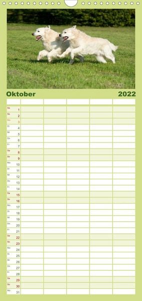 Produktbild: Familienplaner Golden Retriever (Wandkalender 2022 , 21 cm x 45 cm, hoch)