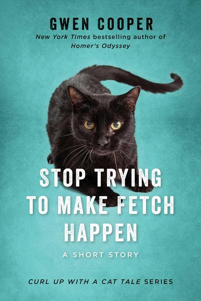 Produktbild: Stop Trying to Make Fetch Happen