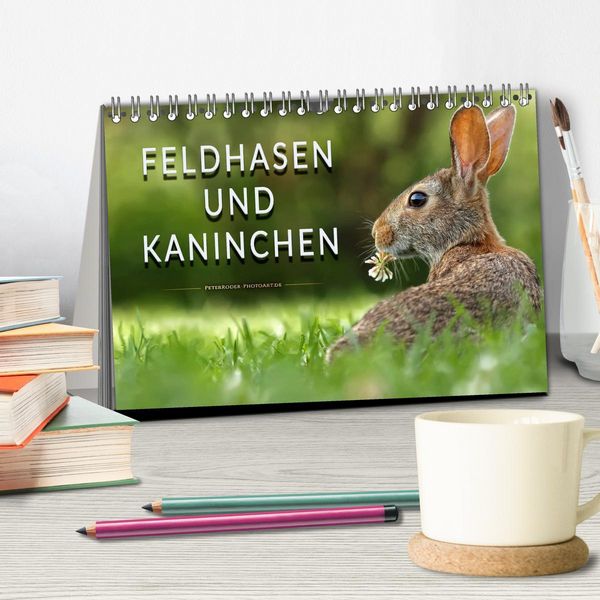 Produktbild: Feldhasen und Kaninchen (Tischkalender 2026 DIN A5 quer), CALVENDO Monatskalender