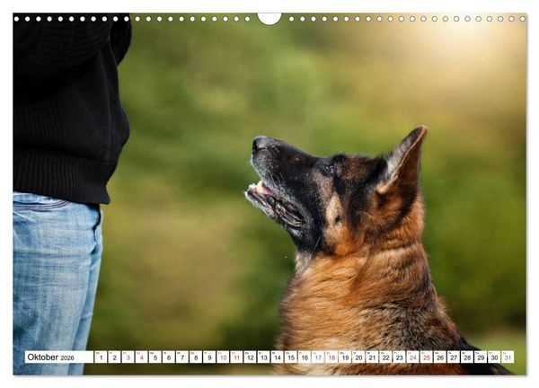 Produktbild: Deutscher Sch&auml;ferhund - Der beste Freund des Menschen (Wandkalender 2026 DIN A3 quer), CALVENDO Monatskalender