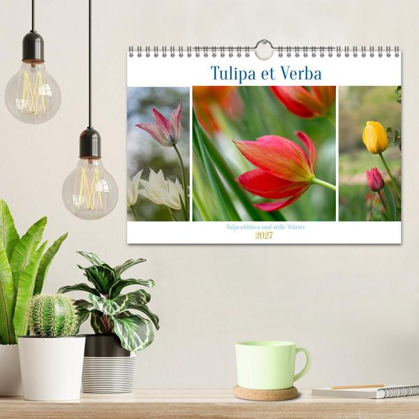 Produktbild: Tulipa et Verba &ndash; Tulpenbl&uuml;ten und stille W&ouml;rter (Wandkalender 2027 DIN A4 quer), CALVENDO Monatskalender