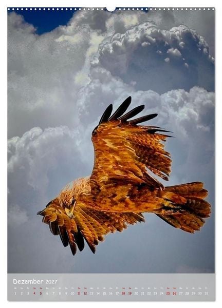 Produktbild: Adler in Afrika (Wandkalender 2027 DIN A2 hoch), CALVENDO Monatskalender