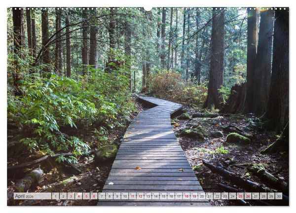 Produktbild: W&auml;lder der Welt (hochwertiger Premium Wandkalender 2026 DIN A2 quer), Kunstdruck in Hochglanz