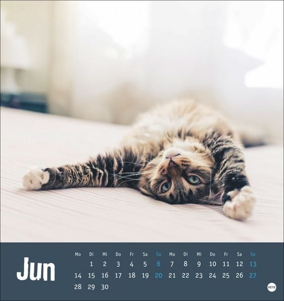 Produktbild: Tierisch entspannte Katzen Postkartenkalender 2027