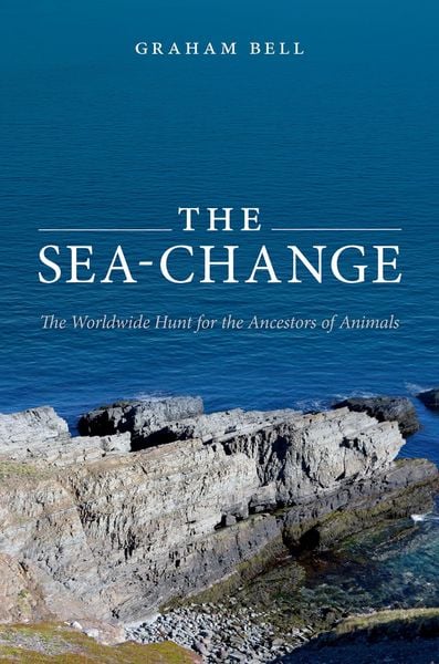 Produktbild: The Sea-Change