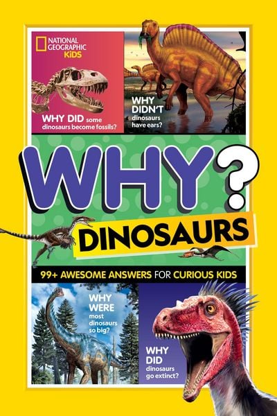 Produktbild: National Geographic Kids Why? Dinosaurs