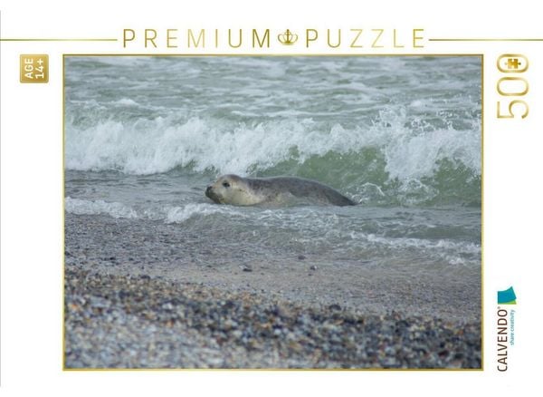 CALVENDO Puzzle Robbe im Meer | 500 Teile Lege-Größe 48 × 36 cm Foto-Puzzle für Erwachsene