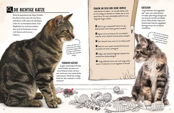 Produktbild: Meine Katze