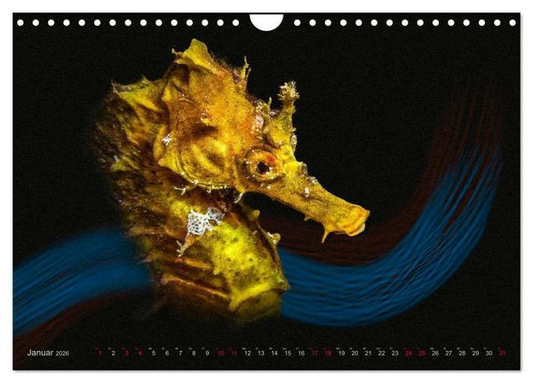 Produktbild: Artwork Unterwasser - Erlebnis Tauchen (Wandkalender 2026 DIN A4 quer), CALVENDO Monatskalender