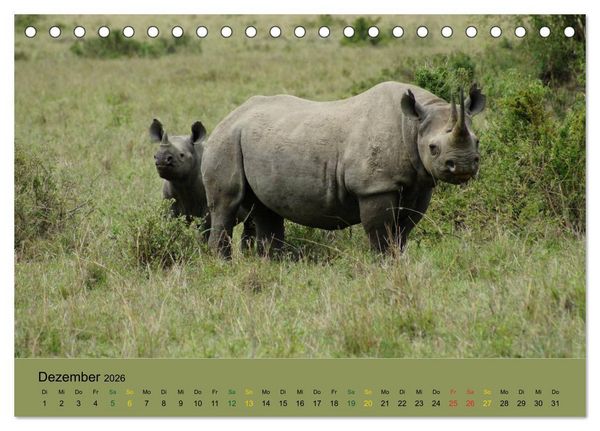 Produktbild: Safari Impressionen / Kenia (Tischkalender 2026 DIN A5 quer), CALVENDO Monatskalender