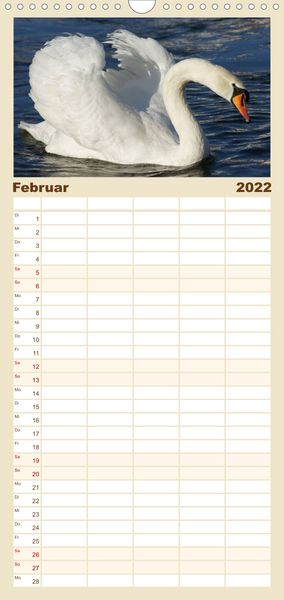 Produktbild: Das faszinierende Leben der Schw&auml;ne - Familienplaner hoch (Wandkalender 2022 , 21 cm x 45 cm, hoch)