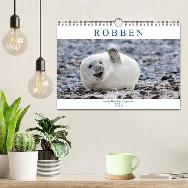 Produktbild: Robben - Lustige Bewohner Helgolands (Wandkalender 2026 DIN A4 quer), CALVENDO Monatskalender