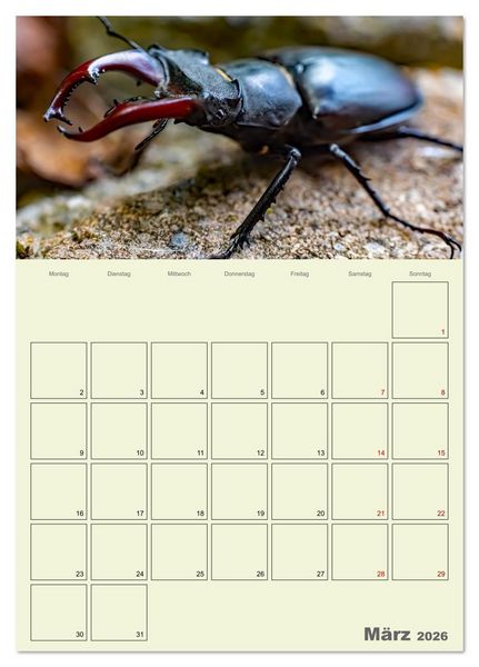 Produktbild: Harzwanderung zu den Ilsef&auml;llen - Terminplaner (Tischkalender 2026 DIN A5 hoch), CALVENDO Monatskalender