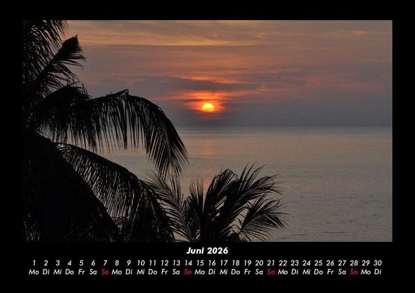 Produktbild: Palmentraum 2026 Fotokalender DIN A3