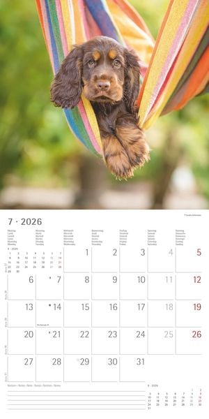 Produktbild: Hunde 2026 - Broschürenkalender 30x30 cm (30x60 geöffnet) - Kalender mit Platz für Notizen - Dogs - Bildkalender - Wandkalender - Hundekalender