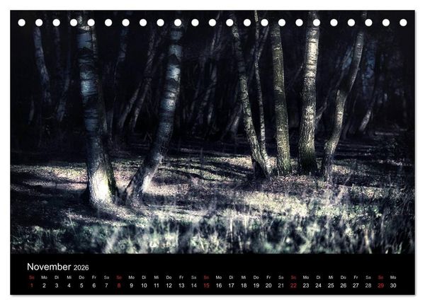 Produktbild: Mystische W&auml;lder (Tischkalender 2026 DIN A5 quer), CALVENDO Monatskalender