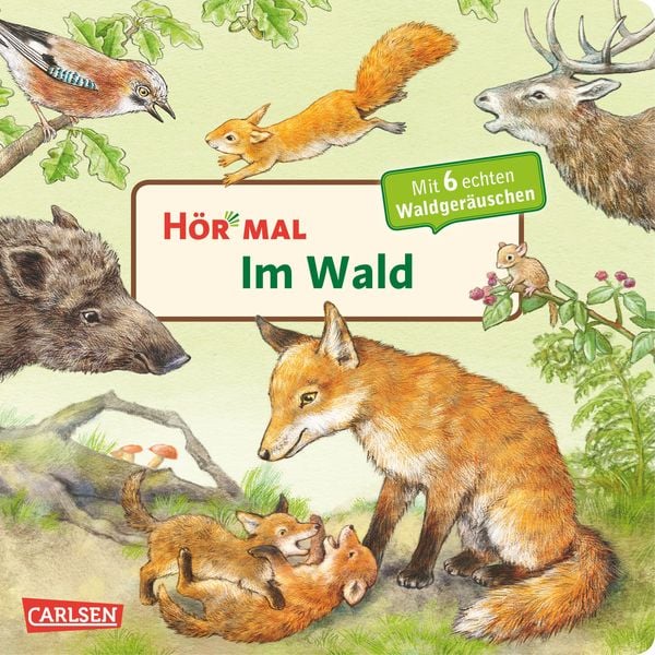 Im Wald / Hör mal Band 9