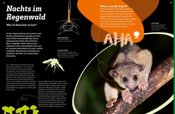 Produktbild: WAS IST WAS Regenwald. Wilde grüne Welt