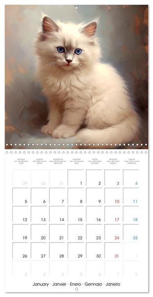 Produktbild: Illustrations Chatons (Calendrier mural carr&eacute; 2026 30x30 cm) Calendrier double avec une page pour vos prises de notes