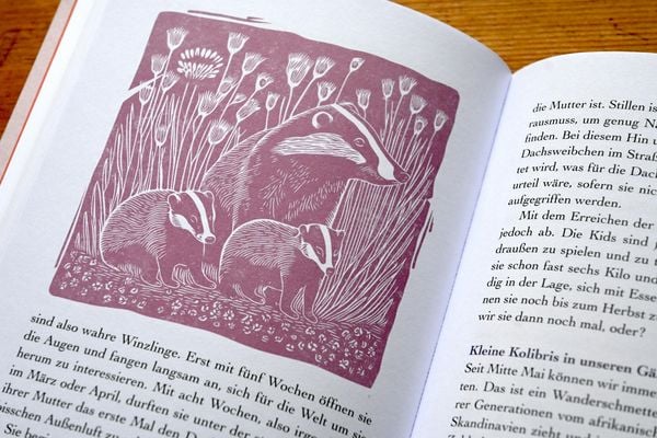 Produktbild: Schreibers Naturarium