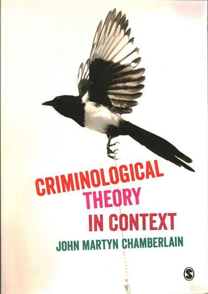 Produktbild: Criminological Theory in Context