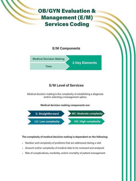 Produktbild: Ob/GYN Evaluation & Management (E/M) Services Coding Quick Reference Guide