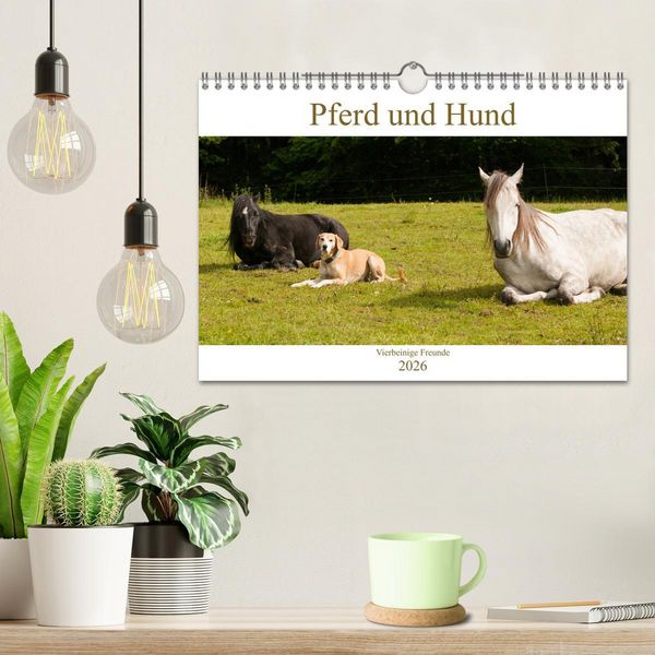 Produktbild: Pferd und Hund - Vierbeinige Freunde (Wandkalender 2026 DIN A4 quer), CALVENDO Monatskalender