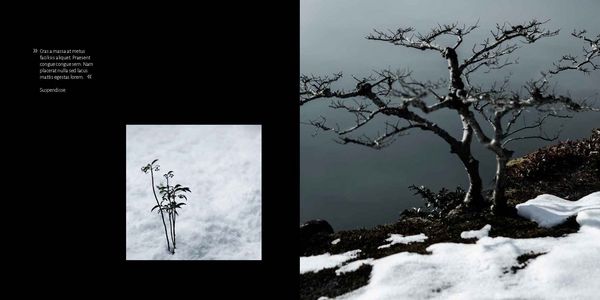 Produktbild: The Magic of Japanese Zen Gardens