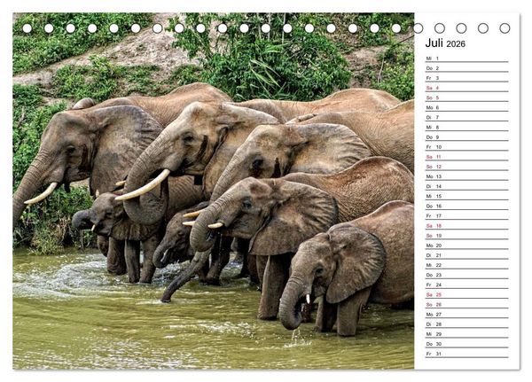 Produktbild: Elefanten . Wildlife in Kenia (Tischkalender 2026 DIN A5 quer), CALVENDO Monatskalender
