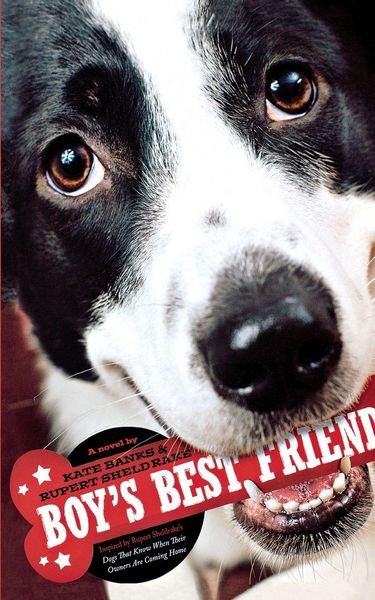 Produktbild: Boy's Best Friend
