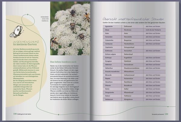 Produktbild: Streifzug durch den Garten