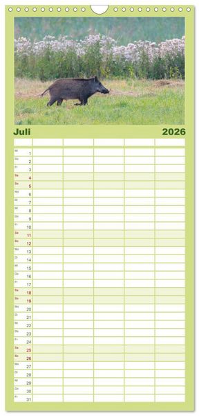 Produktbild: Familienplaner 2026 - Wildschweine &ndash; Wildlife Fotografien mit 5 Spalten (Wandkalender, 21 x 45 cm) CALVENDO