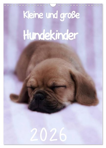 Produktbild: Kleine und gro&szlig;e Hundekinder 2026 (Wandkalender 2026 DIN A3 hoch), CALVENDO Monatskalender