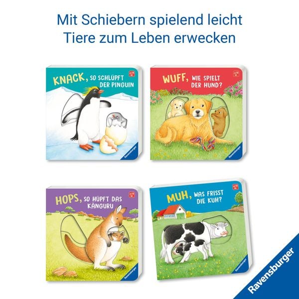 Produktbild: Knack, so schl&uuml;pft der Pinguin