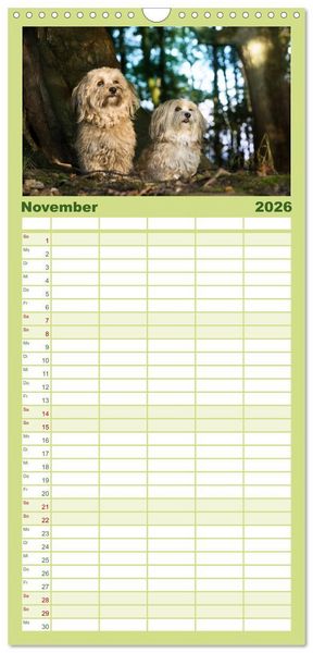 Produktbild: Familienplaner 2026 - Spa&szlig; mit Havanesern mit 5 Spalten (Wandkalender, 21 x 45 cm) CALVENDO