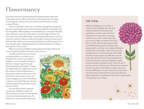 Produktbild: The Spirit of Flowers