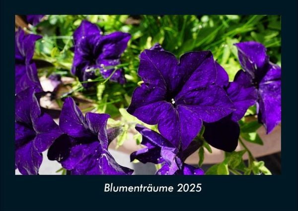 Produktbild: Blumentr&auml;ume 2025 Fotokalender DIN A4