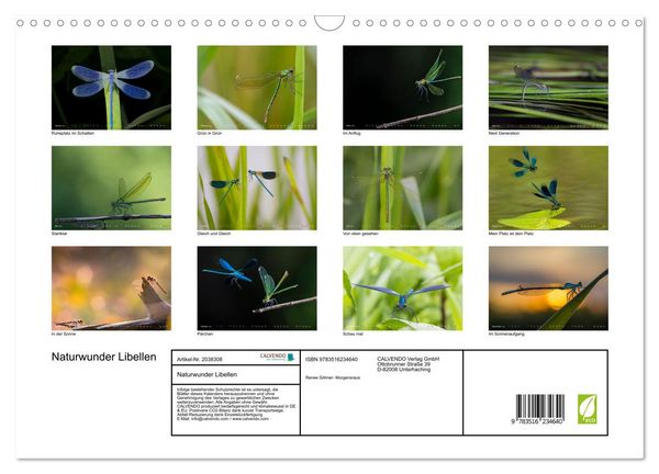 Produktbild: Naturwunder Libellen (Wandkalender 2026 DIN A3 quer), CALVENDO Monatskalender
