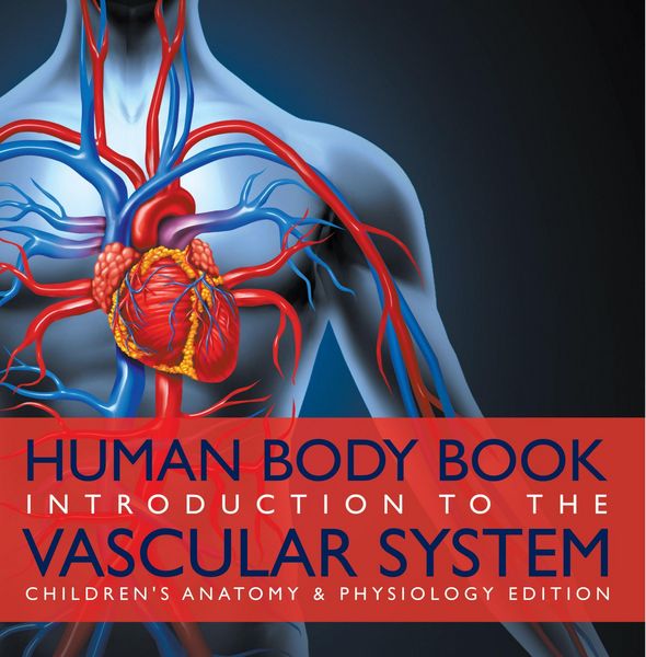Produktbild: Human Body Book | Introduction to the Vascular System | Children's Anatomy & Physiology Edition