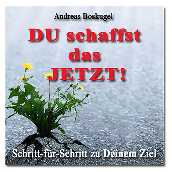 Produktbild: DU schaffst das JETZT!