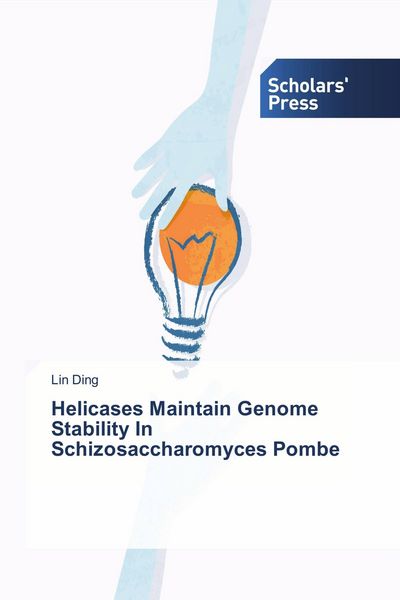 Produktbild: Helicases Maintain Genome Stability In Schizosaccharomyces Pombe