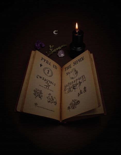 Produktbild: The Midnight Grimoire