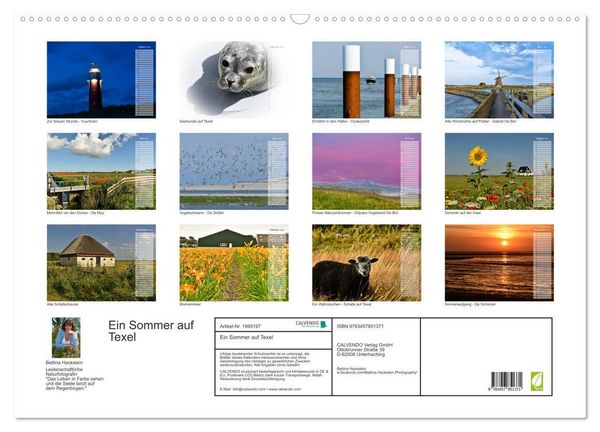 Produktbild: Ein Sommer auf Texel (Wandkalender 2026 DIN A2 quer), CALVENDO Monatskalender